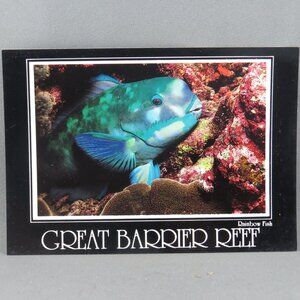 Vintage Postcard - Rainbow Fish Great Barrier Reef Australia - Peer Production